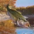 Fly Fishing  Trout vs Bass