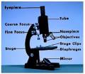 Light Microscopy - Biology Encyclopedia - cells, plant, body ...