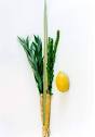 Marching With Fruits &amp; Vegetables | A Floor, But No Ceiling