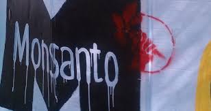 Monsanto mata 7 millones de murciélagos esparciendo un virus que extinguirá la especie