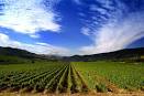 Crops « Informed Farmers