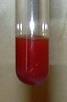 Coloration due to glucose and