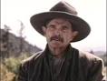 Billy Green Bush - Rotten Tomatoes