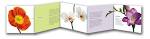 erica horstmeyer, writer | brochures | teleflora recruitment brochure