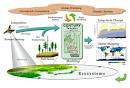 Carbon Management Tool: Database Development and Modeling