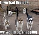 Funny/Cute Pictures