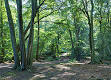 Epping Forest - Wikipedia, the free encyclopedia
