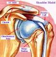 <b>Shoulder</b> Arthroscopy