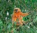 Community Conservation - Catalysts for Global Change
