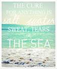 Beach Cottage Coastal Craft ~ DIY Nautical Posters / Sea Art Part ...