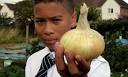 Coombe Hill Junior school students produce their vegetables and occasionally ... - Coombe-Hill-Junior-school-014