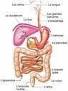 875232-1076067.jpg?v=1289477349