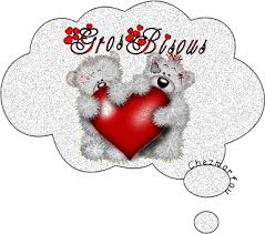 http://t1.gstatic.com/images?q=tbn:ANd9GcTj3linhVrI7wbhNAOrFu3Avecs9VPm2IAIlkjokvM0rMX0RIGy