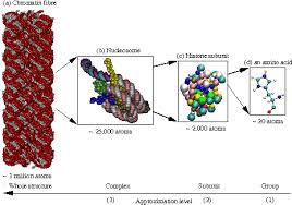 Ramu Anandakrishnan - chromatin