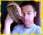 Ular Sanca Kembang « Tengakarta's Weblog - with-my-python-retics-sanca-batik