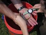 Aquatic biologist measuring - via Daymix