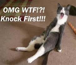 WhatTheWhat?