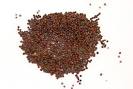 Whole Brown Mustard Seed (1 lb.) [WBROWNMUSTARD] - $2.95 : Butcher ...