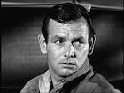 David Janssen 1931-1980