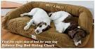 Bolster Dog Bed Sizing Chart