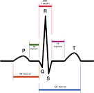 Heart rhythms