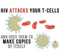 What Is <b>HIV</b>?