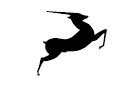 Antelope
