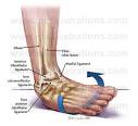 Sprained Ankles or recovery from Fractured Ankles « Edinburgh ...