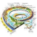 Relative Dating and Numerical Dating (or Absolute Time)