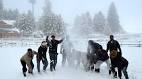 Snowfall across Kashmir Valley; Srinagar-Jammu highway closed.