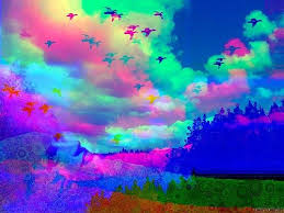 external image images?q=tbn:ANd9GcTk_JLGR2rMrLq5zyb_XARWwUa6X4JW8Sl8eyr9rpf5KNfEExZ7Kg