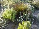 Hout Bay Christian Community Association:About Hout Bay