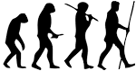 File:Human <b>evolution</b> scheme