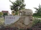 Climbing the Branches of My Family Tree  HOMETOWN TUESDAY  Forst