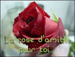 http://t1.gstatic.com/images?q=tbn:ANd9GcTktdQFw4zmd5apZXOWPfFOh3UYgD2c9B5IPBYUeCafpIXuxEid