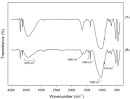 Mechanical and Biological Characterization of Geopolymers for