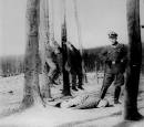 Dear Cardinal: We have found the Nazis of the Middle East | News ...