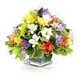 Flower Arrangements | Amole Flower