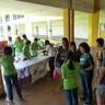 The Green Mosaic - Post-Event Write-Up | SP Environment Club