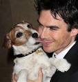 ian-somerhalder-uggie.jpg