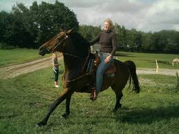 Westernreiten - Bild \u0026amp; Foto von Inge Barthel aus Pferde bei der ...