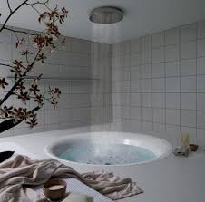rain shower bathtub | Squeaky Clean Inc. - rain-shower-bathtub-bathroom-design