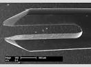 Bifurcated needle — History of Vaccines