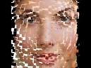 www.face-fitness-guide.com