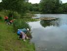 a freshwater ecosystem) to - via Daymix
