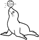 Seal coloring page