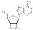 Adenosine - Wikipedia, the free encyclopedia