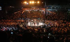 Carl&atilde;o Barreto &ldquo;doping de Chael Sonnen fez bem - Esportes - R7.com
