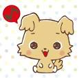 Sanrio | Chibimaru
