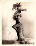 The Gypsy Rose Lee and Other Queens of Classic Burlesque Glove Gallery